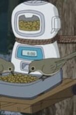 3ZbrakwZitYIaeKo8mHhn7RBsHJ