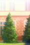 slNpzyBKx8Rg6QGgtw1Af0tHBFn-1